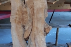 20190510_122116