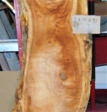 DSC04758c