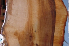 DSC04811b