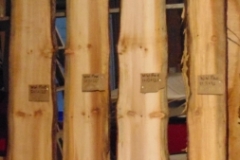 DSC04854c